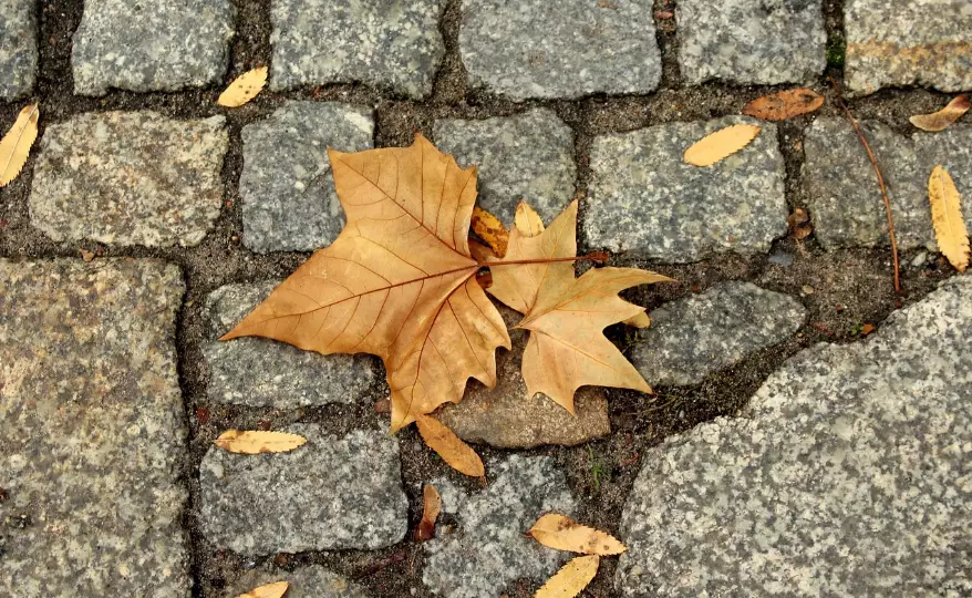 Погода без осадков ожидается в субботу в Астане, Алматы и Шымкенте