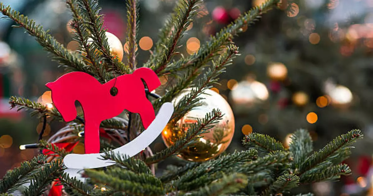   «2026 – жылқы жылы»: Шығыс күнтізбесінде оның қандай мағына беретіні белгілі болды   