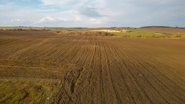 Абай облысында 171,2 мың гектар жер мемлекетке қайтарылды