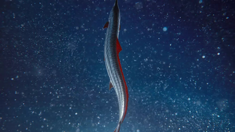 Предвещающую катастрофы “рыбу Судного дня“ выкинуло на берег