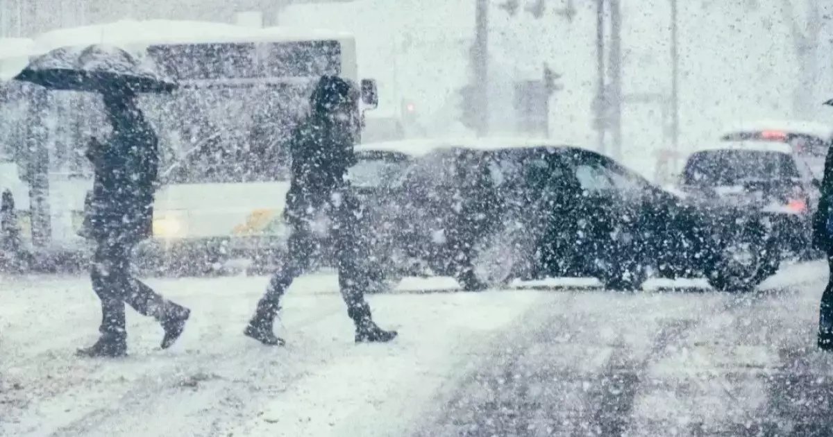  23 қарашада бірнеше өңірде боран соғады 