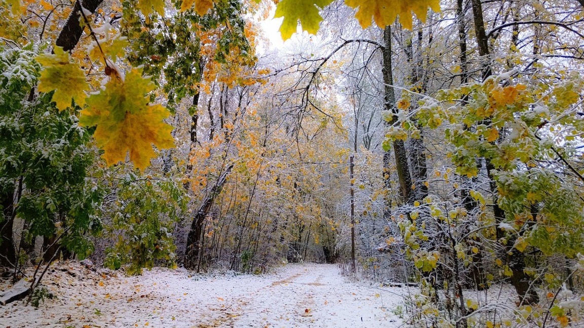 Демалыс күндеріне арналған күн райының болжамы