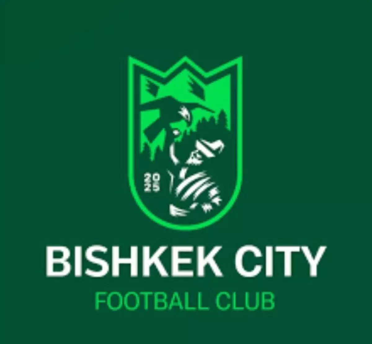 Өзбекстан инвесторлары Қырғызстанда бағы ашылмаған команданы қарамағына алмақшы