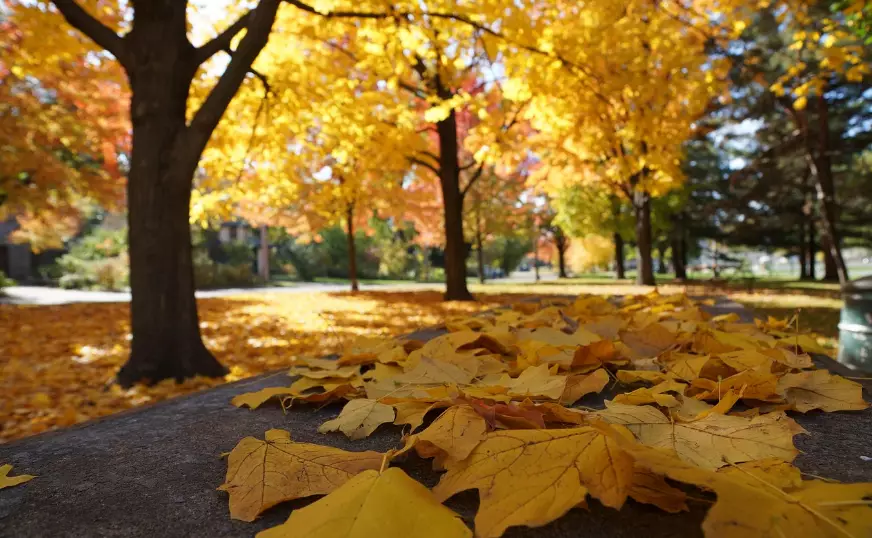 Погода без осадков ожидается в воскресенье в Астане, Алматы и Шымкенте