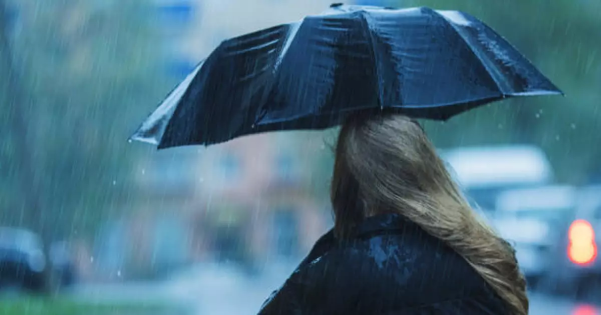   «Тұман, қар, жаңбыр»: 23 қарашаға арналған ауа райы болжамы   