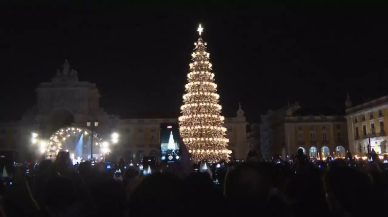 Рождественскую ель зажгли в Португалии