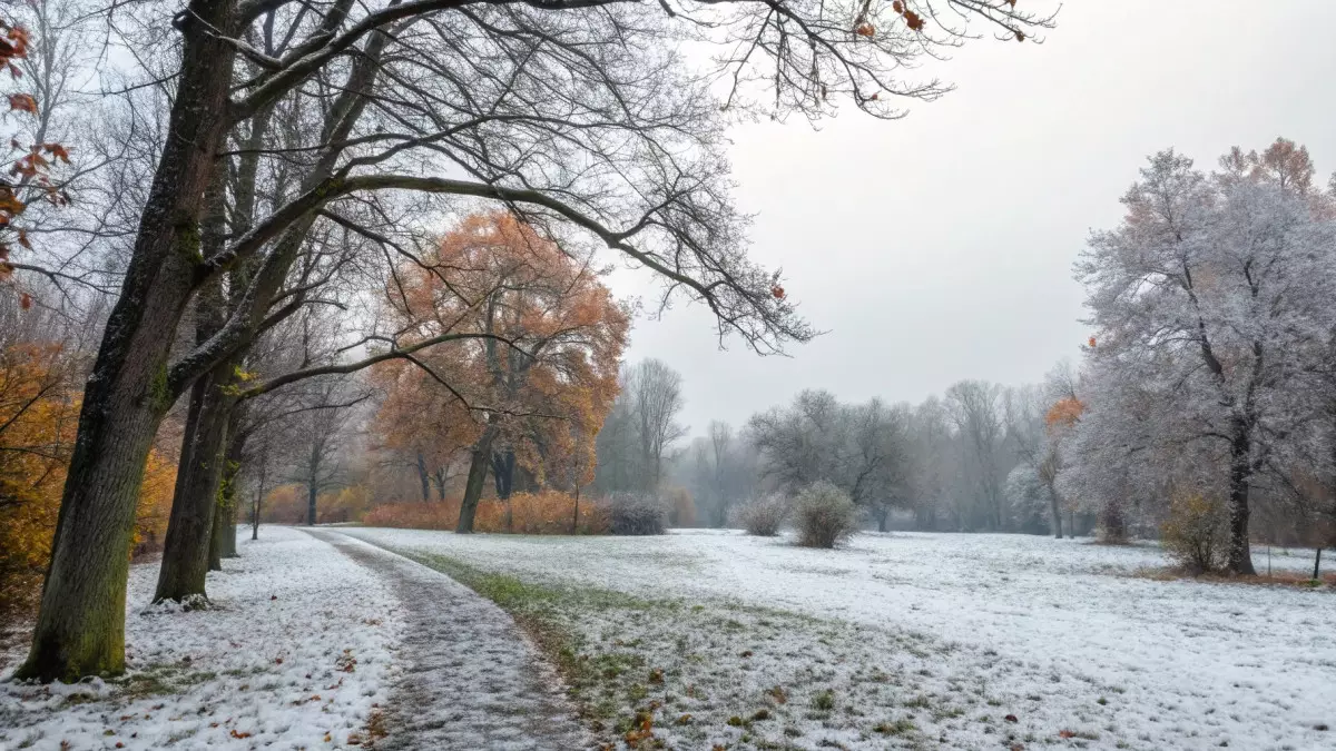 Зима вступает в права: какая погода ждет казахстанцев на следующей неделе