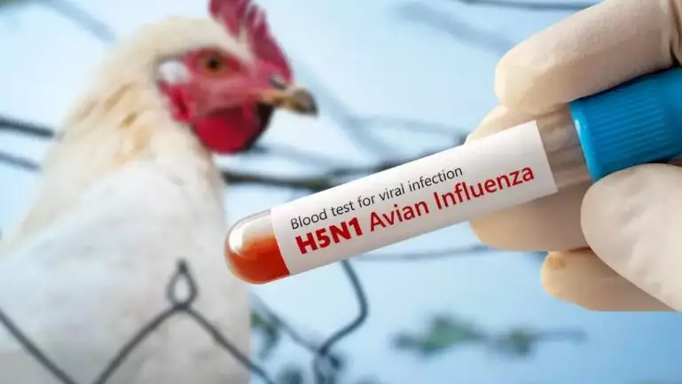 Әлемде алғаш рет құс тұмауынан адам қайтыс болды