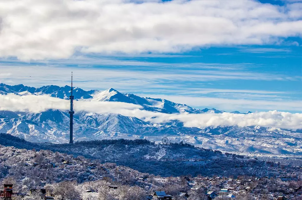 Новым президентом Мирового боксерского союза назвали "