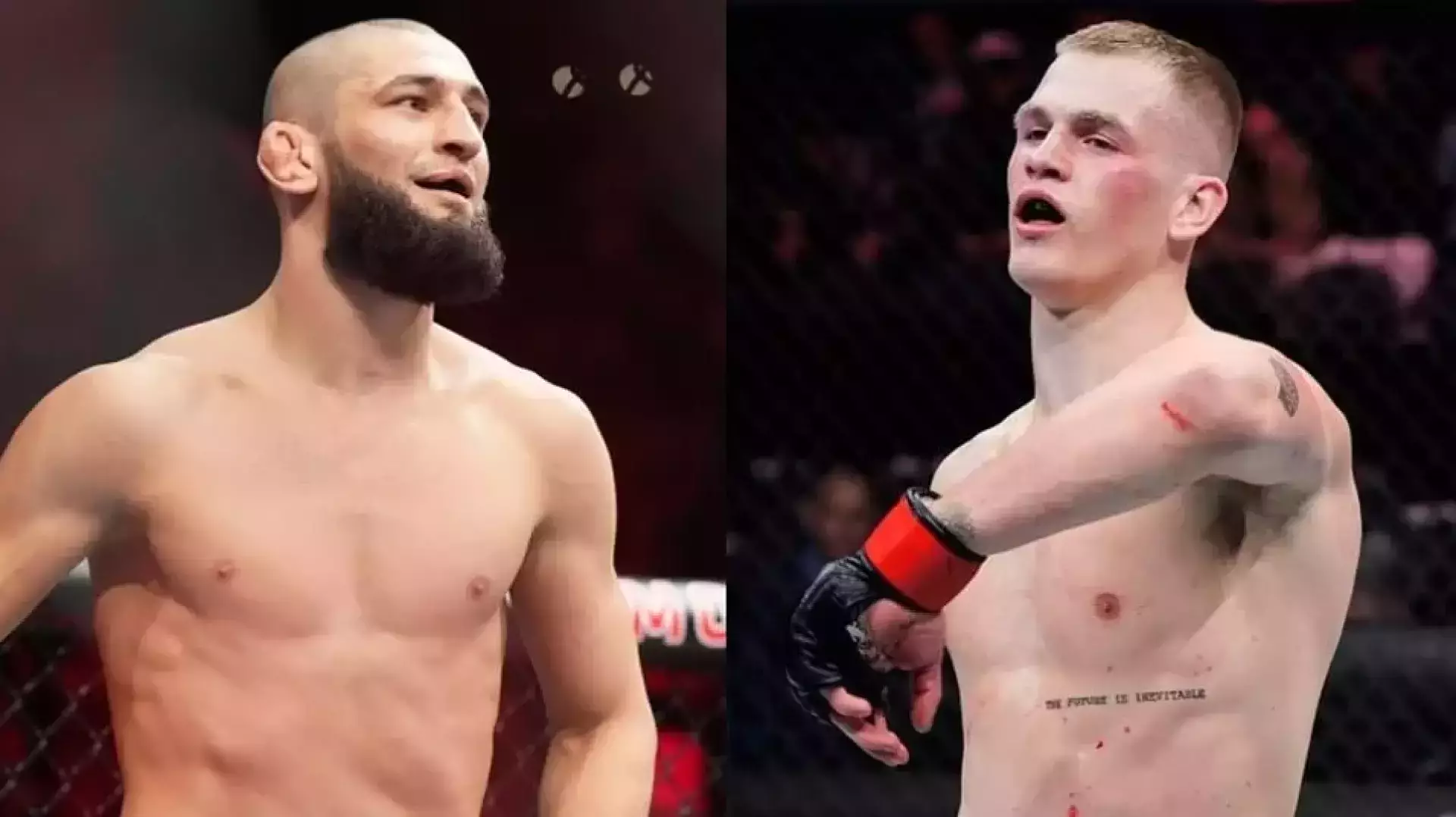 Чимаев ударил Мачадо после неосторожных слов ирландца после турнира UFC