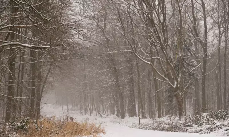 Туман, метель и гололёд: в каких регионах объявили штормовое предупреждение