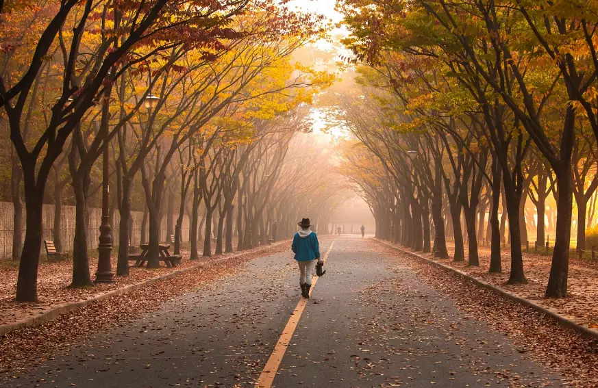 Туманы ожидаются в понедельник почти по всему Казахстану