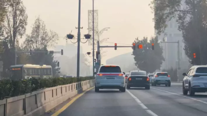 Эксперт: 2024 год стал вторым по засушливости в Ташкенте за 170 лет