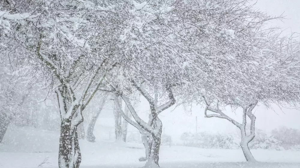 Казахстан ждёт туман, дождь со снегом и гололёд. О погоде на понедельник