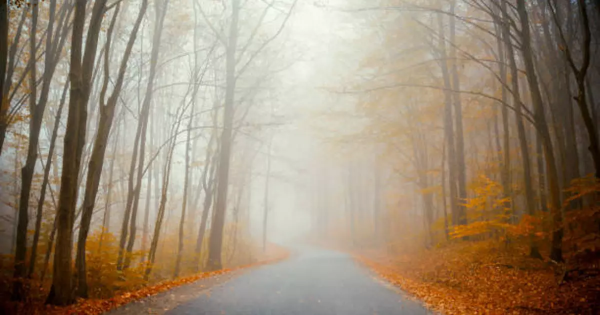   Дауылды ескерту жарияланды   