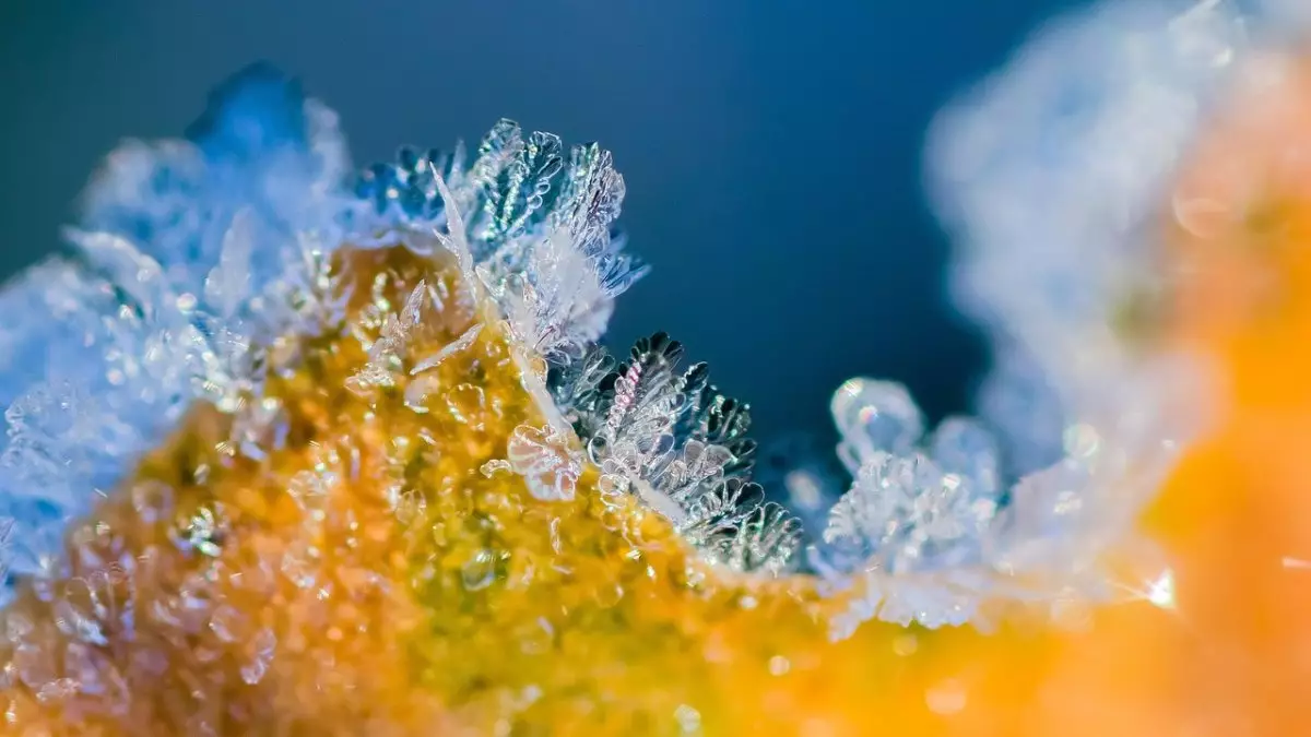 Еліміздің 16 өңірінде дауылды ескерту жарияланды