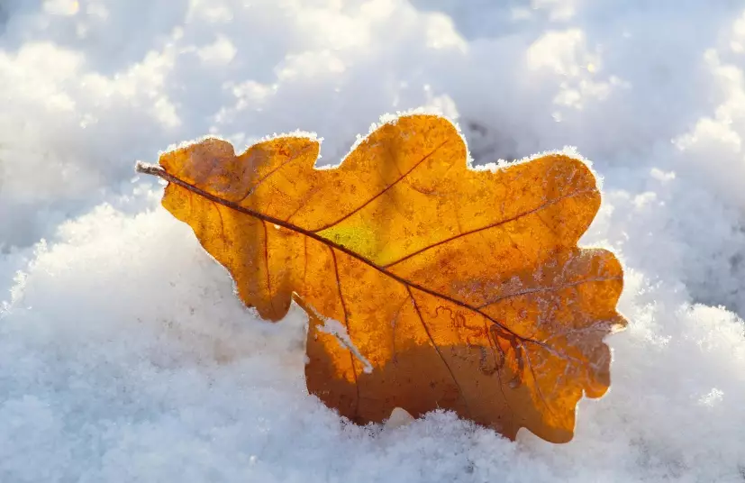 Осадки ожидаются в понедельник в Астане, в Алматы и Шымкенте без осадков
