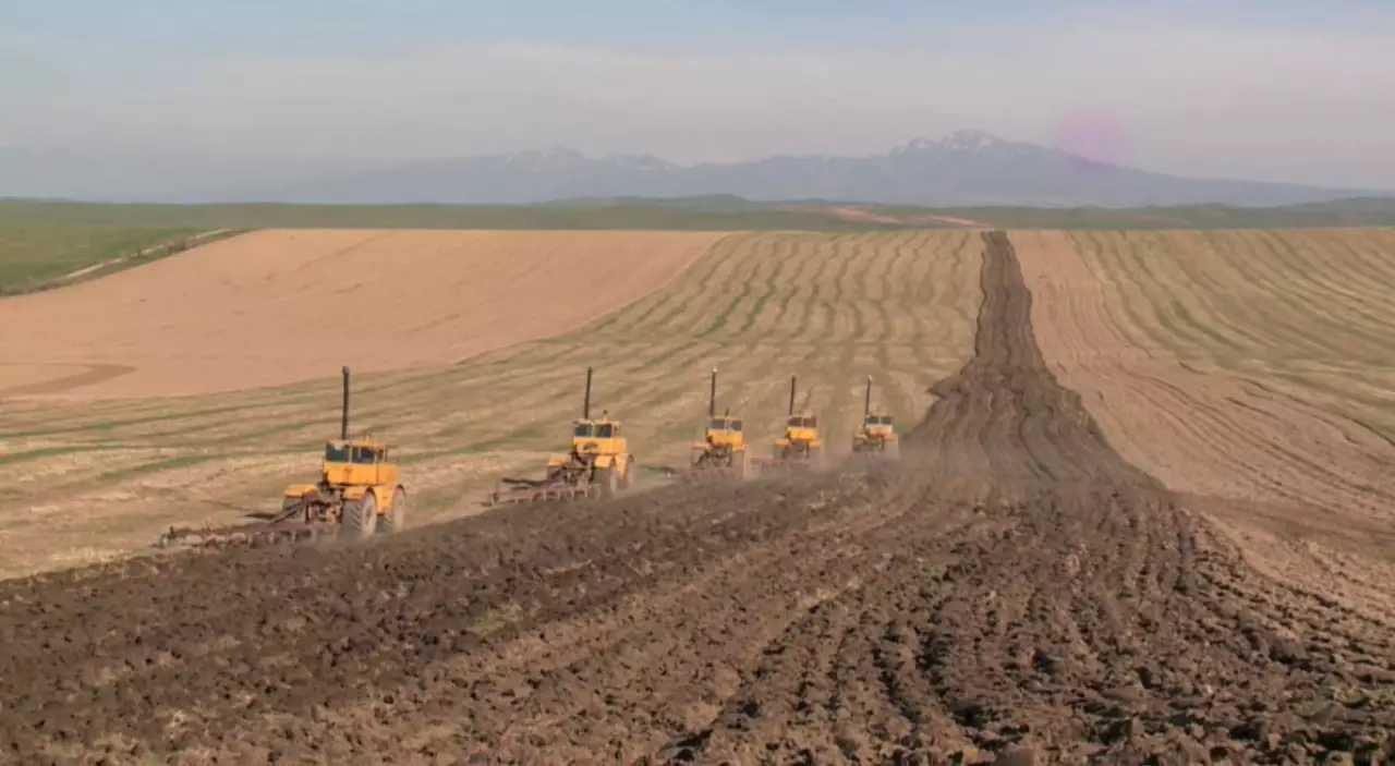 Проект национального продовольственного атласа разработали в Казахстане