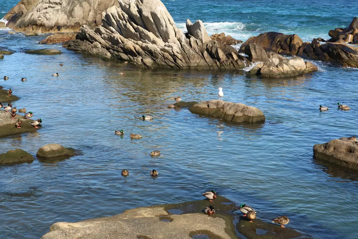 Казахстанцам напомнили о праве свободного доступа к водоемам