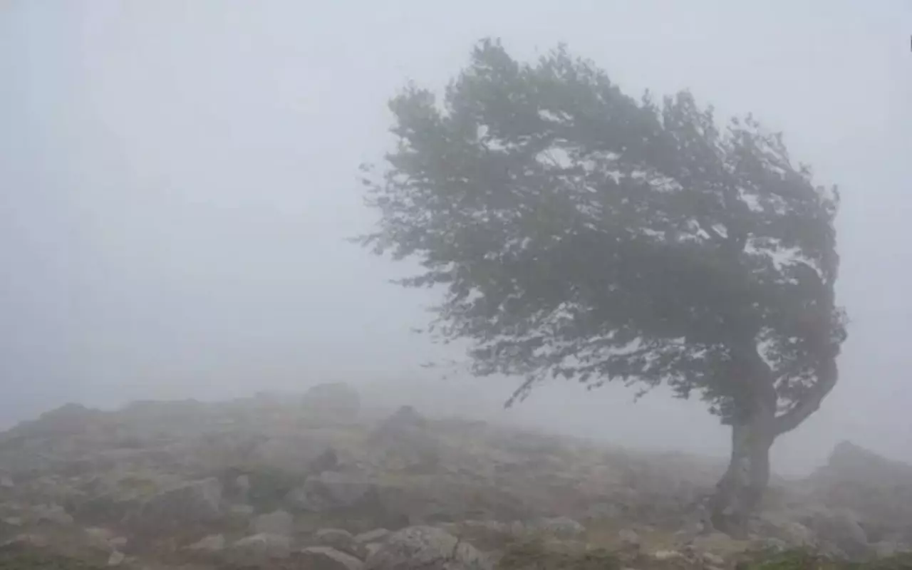 Туманы и осадки прогнозируют в Казахстане
