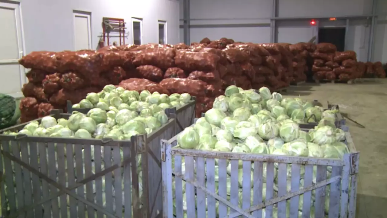 ФАО: школьное питание — новый рынок для фермеров