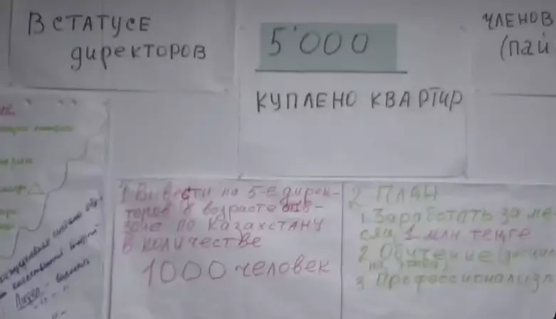 Финпирамиду ELL QUATY ликвидировали в области Абай