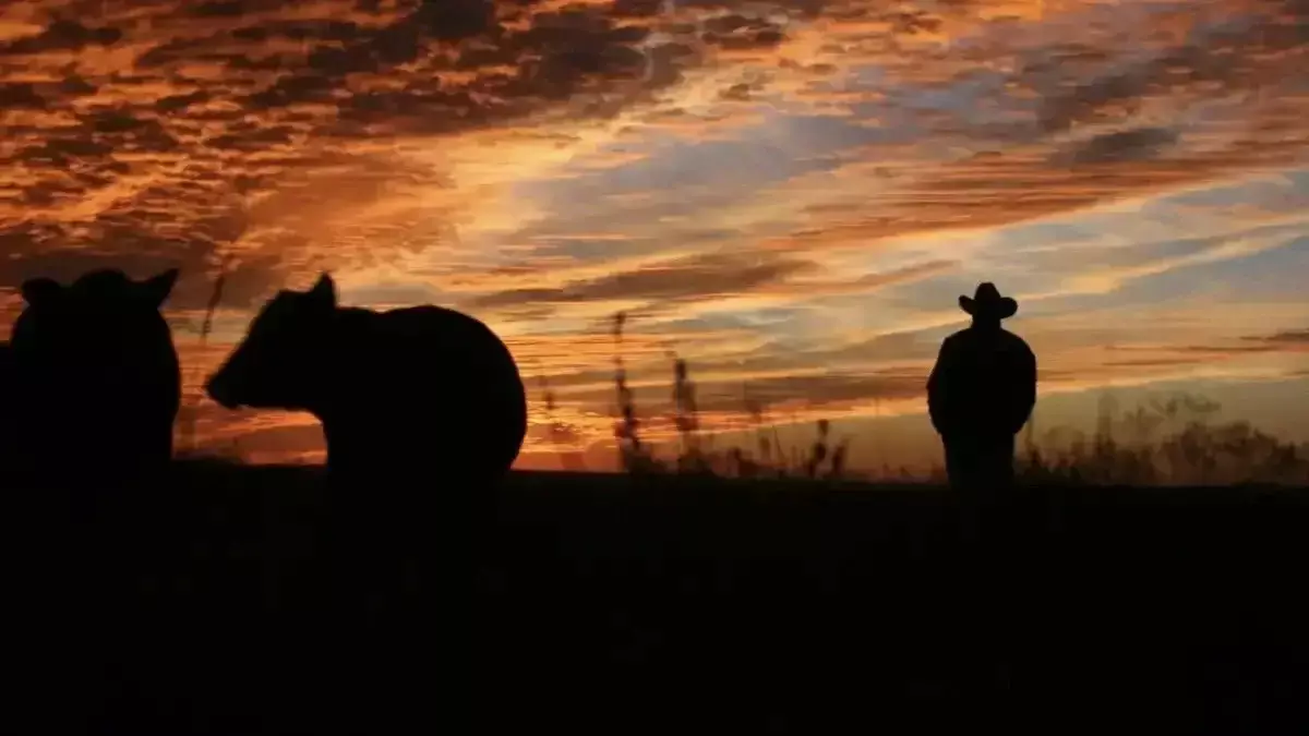 Қазақстанда ұрланған жүздеген мал иесіне қайтарылды