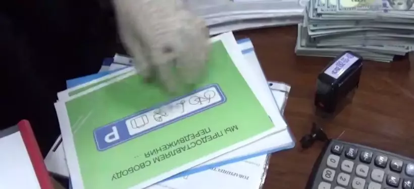 Под лозунгом "Счастье в каждую семью!" обманывали жителей области Абай организаторы финпирамиды