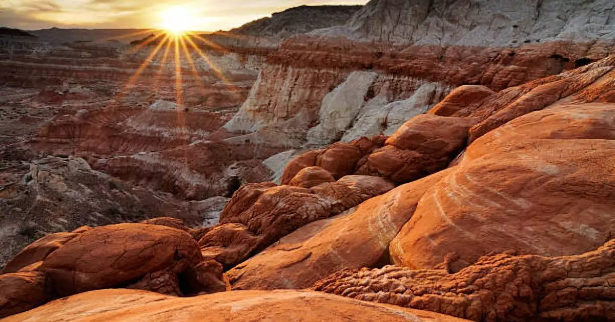  «Шығын – 795 млн теңге»: Қостанайлық кәсіпкер сазды ұрлап, заңсыз сатқан 