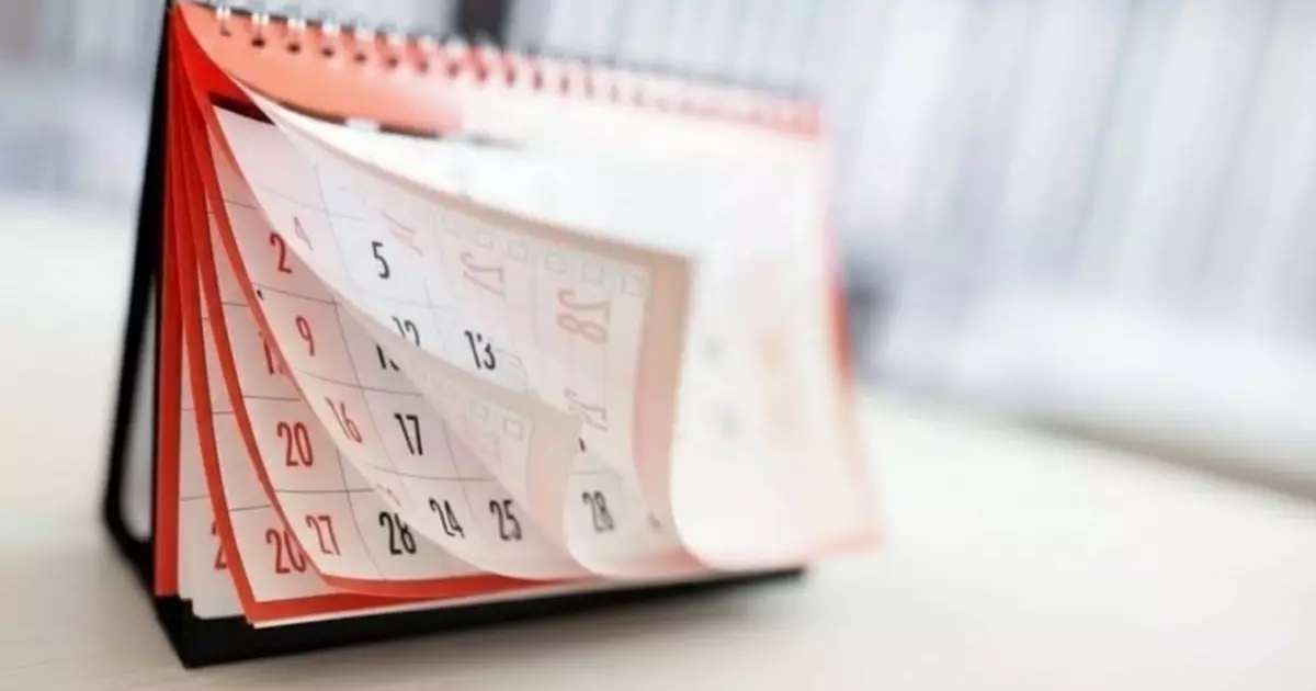  Желтоқсанда қанша күн демалыс беріледі 