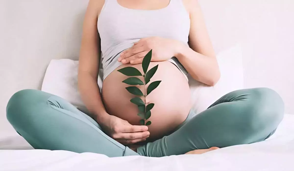 Сколько стоит заморозить яйцеклетки в Казахстане