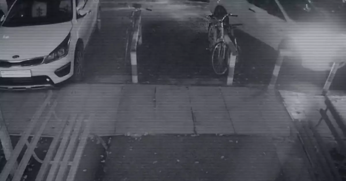  «Тергеуді шатастыруға тырысқан»: Полиция Яна Легкодимованың өліміне қатысты істі қалай ашқанын жария етті 