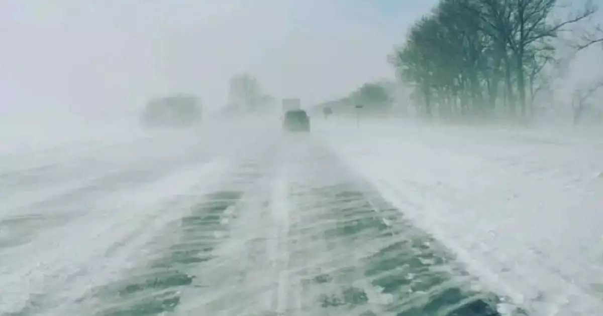  Абай облысының полициясы жүргізушілерге ескерту жасады 