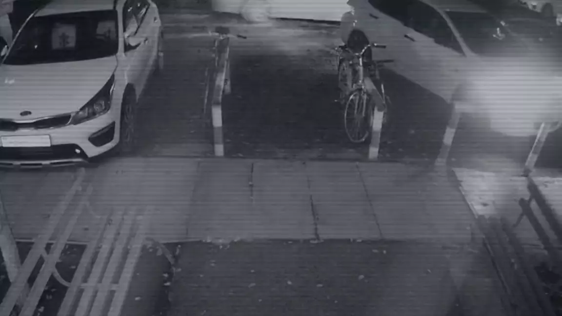 Яна Легкодимованың өліміне қатысты видео жарияланды