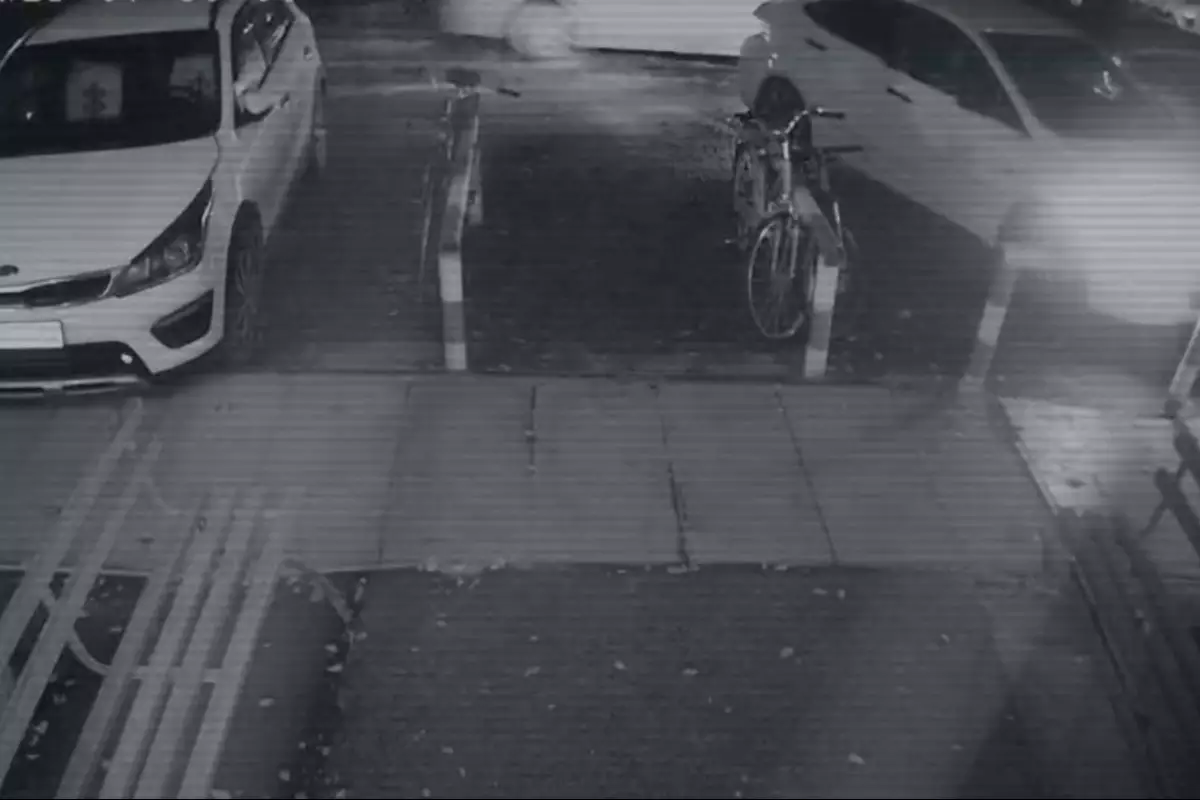 Убийство Яны Легкодимовой: как следователи раскрыли дело без тела и улик