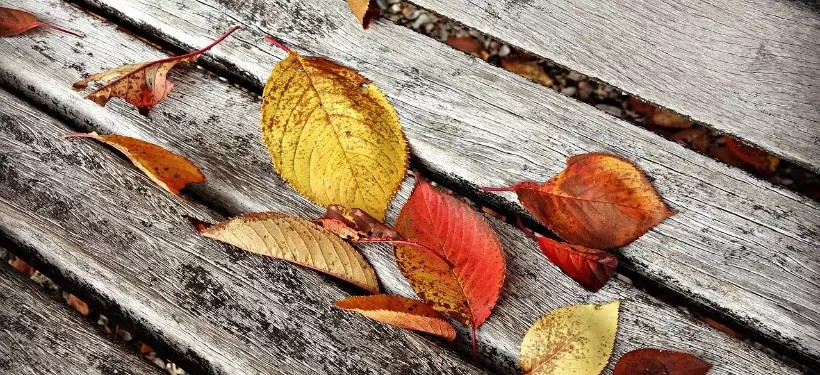 О погоде по Казахстану в ближайшие три дня рассказали синоптики