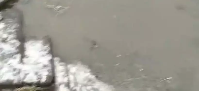 "Дождевая вода заливает наши канализационные колодцы": жители частного сектора бьют тревогу в Семее