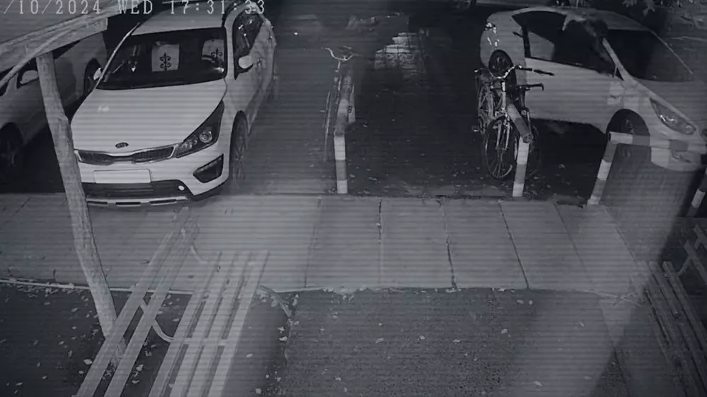 МВД опубликовало шокирующее видео убийства Яны Легкодимовой