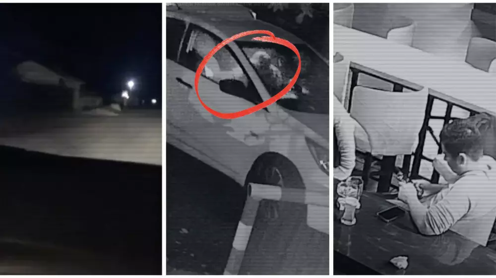 Яна Легкодимованың өлімі: ІІМ қылмысқа қатысты видео жариялады