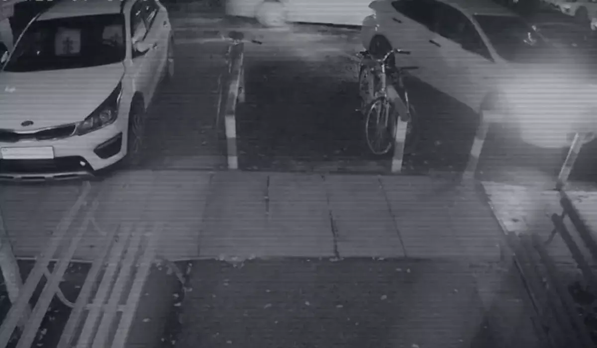 Яна Легкодимова в автомобиле с двумя убийцами: в сети появилось видео