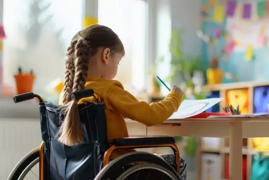 В Казахстане создан Республиканский учебно-методический совет по инклюзивному образованию