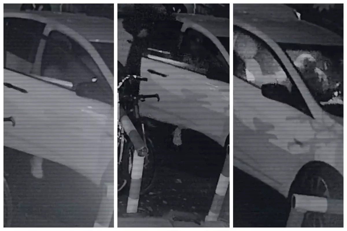 «Бірі тұншықтырып, екіншісі ізін жасырған»: Яна Легкодимованың қатігездікпен өлтірілген сәтінің видеосы жарияланды (ВИДЕО)