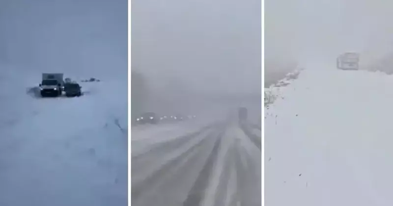 Мощный снегопад парализовал восток Казахстана.