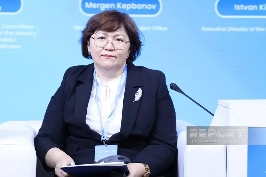 Казахстан продолжит работу по развитию сети НПО тюркских государств.