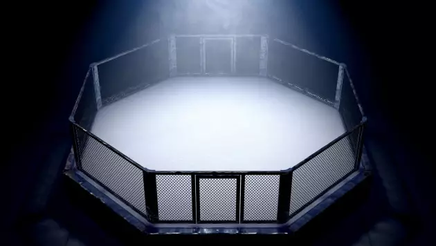 Боец MMA скончался в 31 год после боя в США