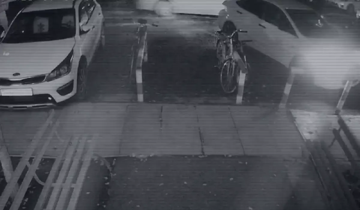 Яна Легкодимованың көлік ішінде өлген сәті: полиция қанды оқиғаның видеосын жариялады