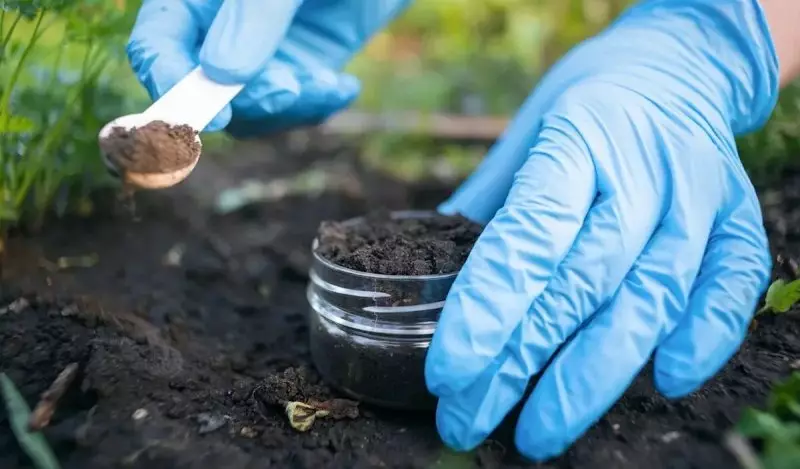 Учёные рассказали о главной особенности казахстанской земли