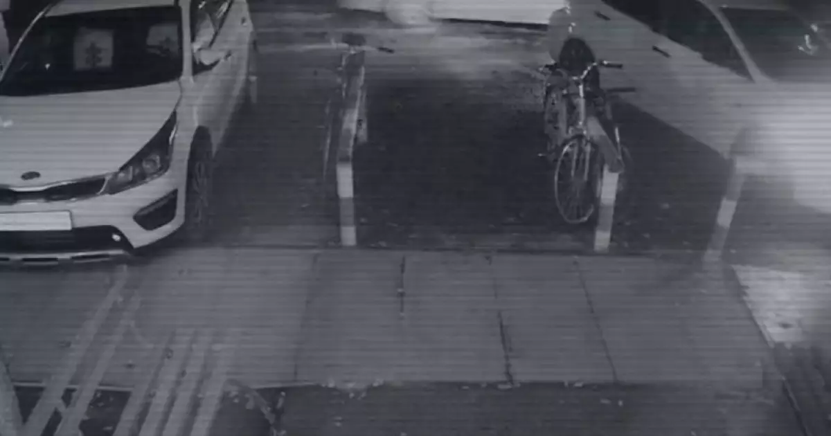  Полиция Яна Легкодимованың өліміне қатысты бейнежазба жариялады /видео/ 