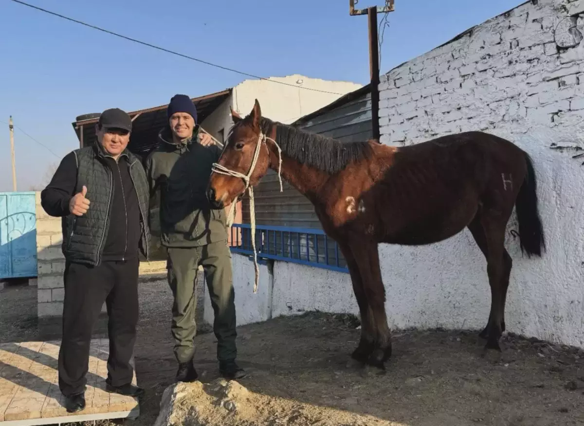 Мұхамеджан Сейсен кезекті көкпар ойынынан кейін олжалы оралды