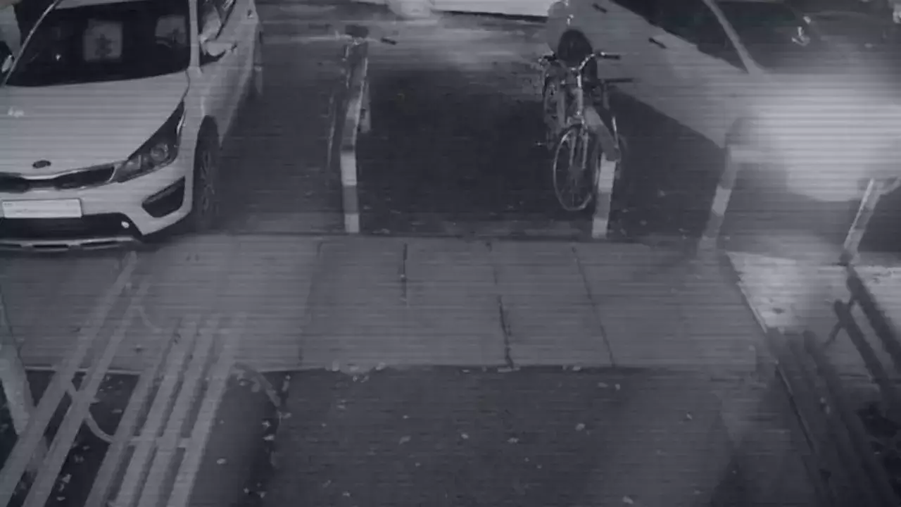 Яна Легкодимованы өлтірген сәттің видеосы жарияланды